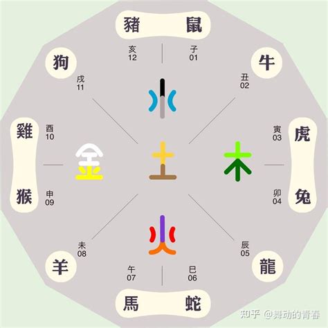 子五行|子的五行属性是什么